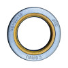 Сальник CARRARO 641734, 6194903M1, 87685568, VOE11715253, S06/41684 купить в РУСТЕХ ЗАПАД - Санкт-Петербург 